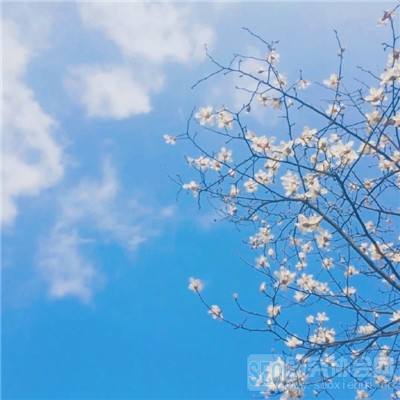 PG电子中国官方网站